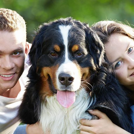 Cursusaanbod Happydog Barneveld